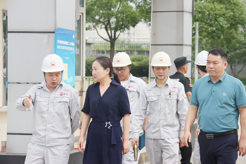 四川008PG国际接待成都会经信局丁琴一行调研督导清静生产事情.png